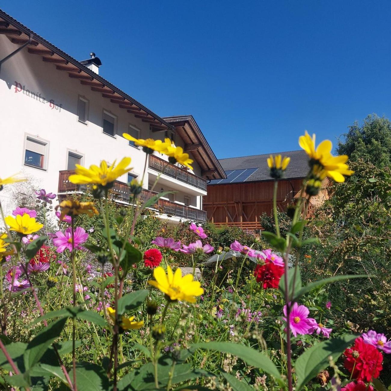 Planitzhof Villa Castelrotto Exterior foto
